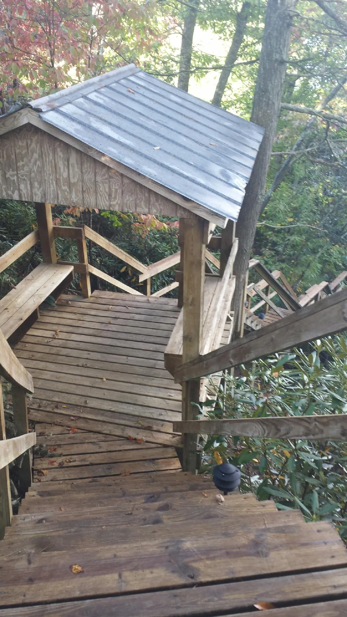 Metal roofed shelter over wooden steps on a wooded walkway — Skylight Repair & Installation work by our crew in Pioneer