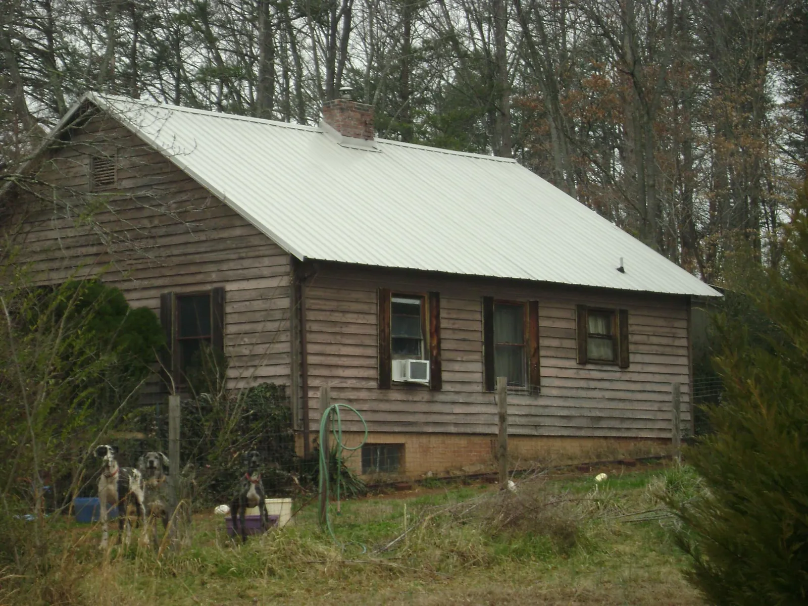 White metal roof on an old wood sided farmhouse, from a Asphalt Shingle Roof Repair job in Pioneer